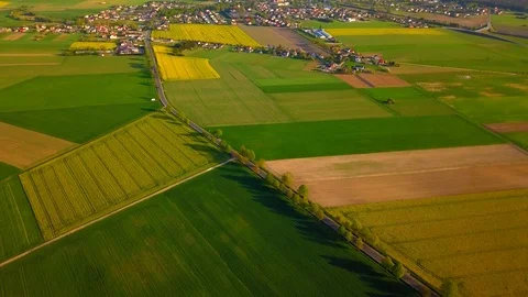 Beautiful spring fields with blooming rape near small city.  Stock Footage 107564709