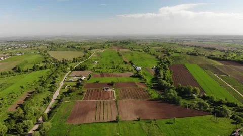 Beautiful spring fields. Stock Footage 147659467