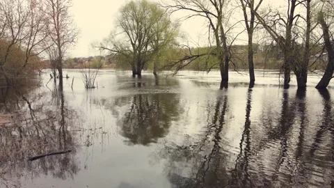 Beautiful spring flood, river overflow, flooded trees, aerial view. Stock Footage 225836181
