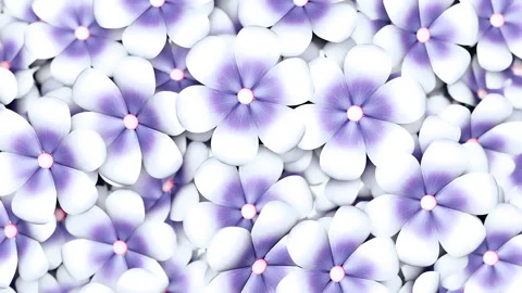 Beautiful Spring Floral Background Stock Footage 302355242