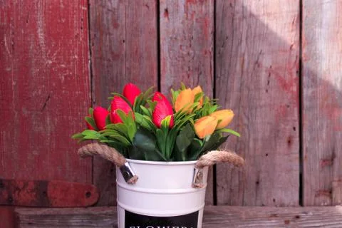 Beautiful spring flower composition.  Stock Photos