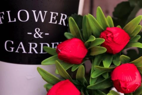 Beautiful spring flower composition.  Stock Photos