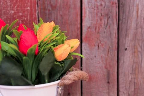 Beautiful spring flower composition.  Stock Photos