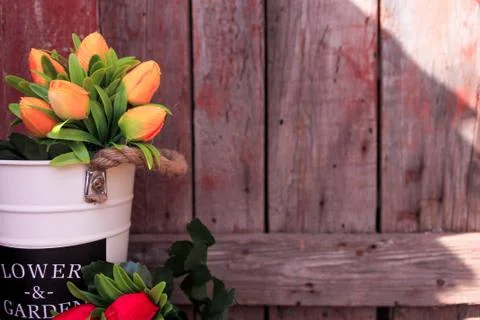 Beautiful spring flower composition.  Stock Photos