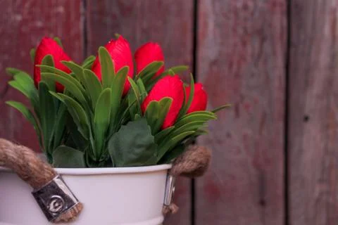 Beautiful spring flower composition.  Stock Photos