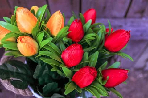 Beautiful spring flower composition.  Stock Photos