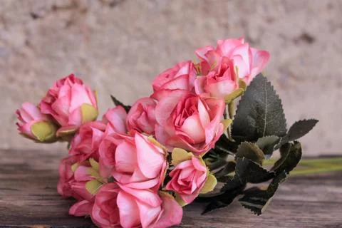 Beautiful spring flower composition.  Stock Photos