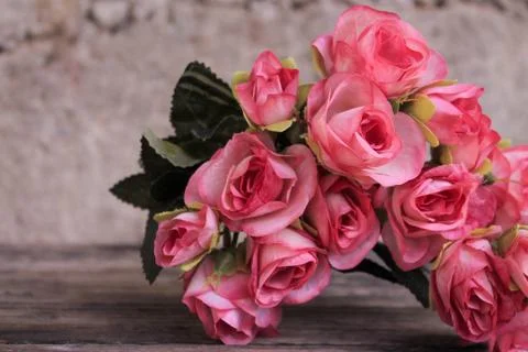 Beautiful spring flower composition.  Stock Photos