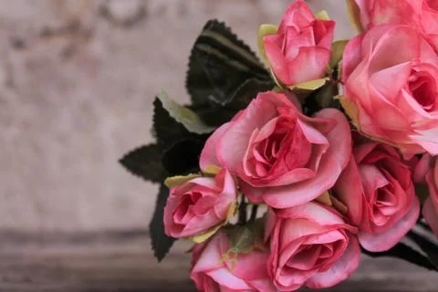 Beautiful spring flower composition.  Stock Photos