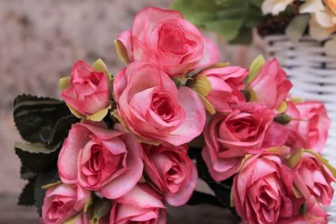 Beautiful spring flower composition.  Stock Photos