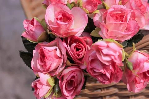 Beautiful spring flower composition.  Stock Photos