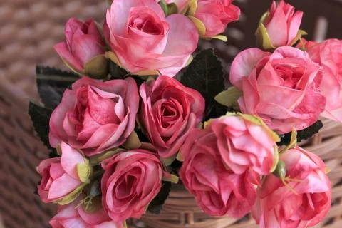 Beautiful spring flower composition.  Stock Photos