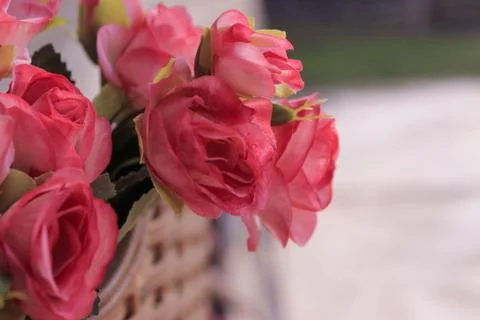 Beautiful spring flower composition.  Stock Photos