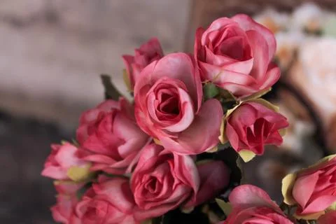 Beautiful spring flower composition.  Stock Photos