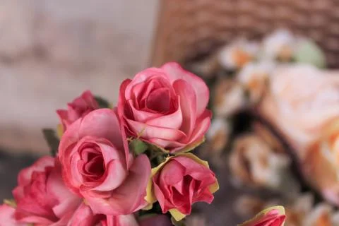 Beautiful spring flower composition.  Stock Photos