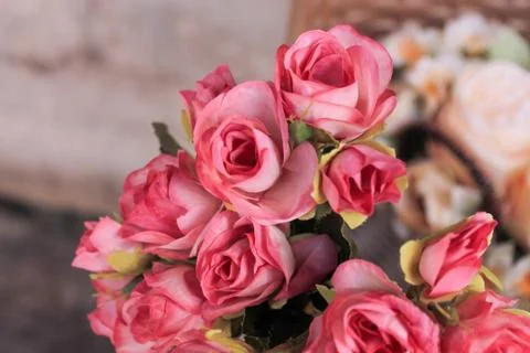 Beautiful spring flower composition.  Foto stock