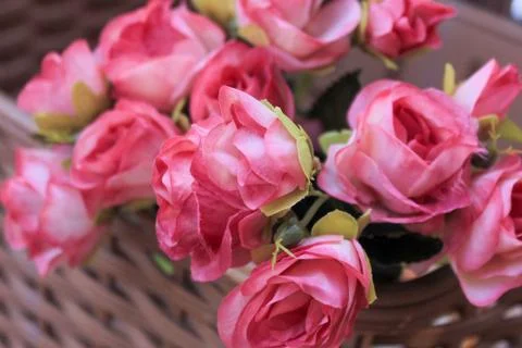 Beautiful spring flower composition.  Stock Photos