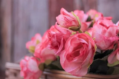 Beautiful spring flower composition.  Stock Photos