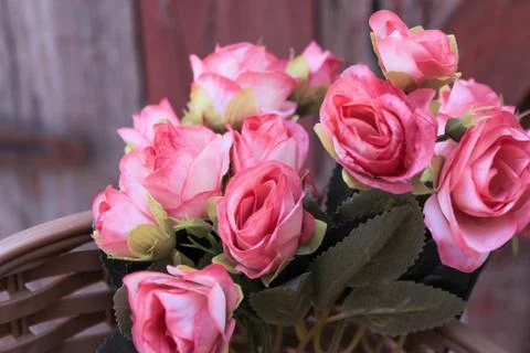 Beautiful spring flower composition.  Stock Photos