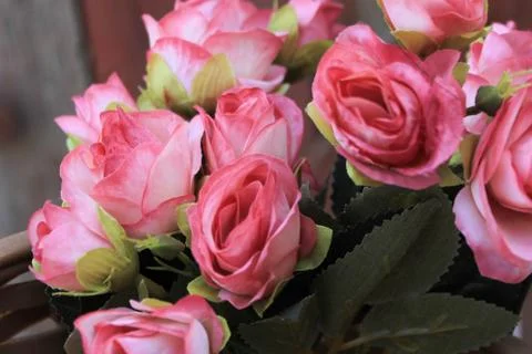 Beautiful spring flower composition.  Stock Photos