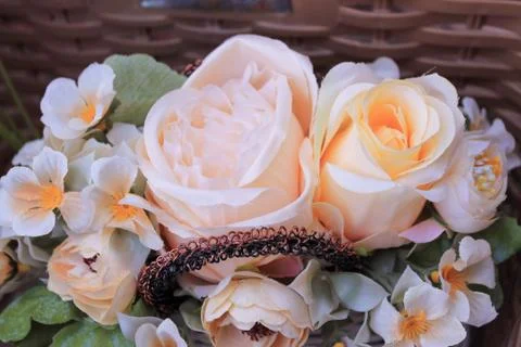 Beautiful spring flower composition.  Stock Photos