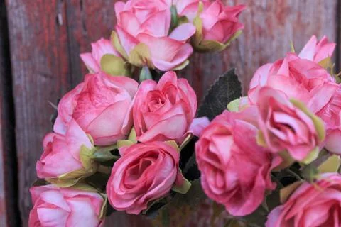 Beautiful spring flower composition.  Stock Photos
