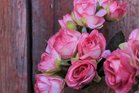 Beautiful spring flower composition.  Stock Photos