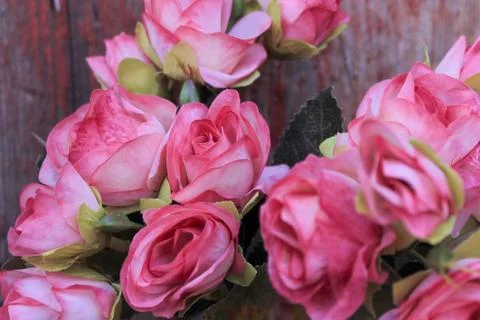 Beautiful spring flower composition.  Stock Photos