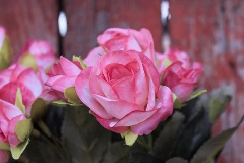 Beautiful spring flower composition.  Stock Photos
