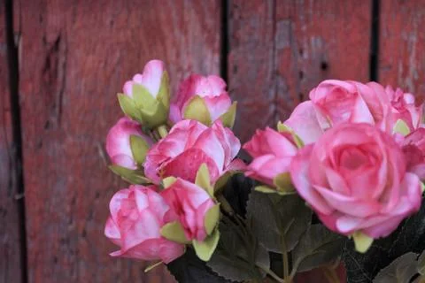 Beautiful spring flower composition.  Stock Photos