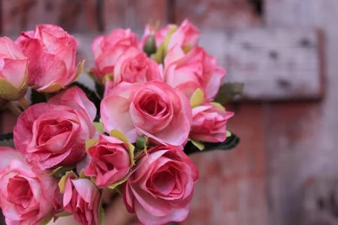 Beautiful spring flower composition.  Stock Photos