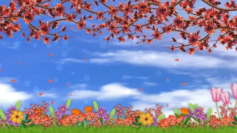 Beautiful spring flowers animation with ... | Stock Video | Pond5