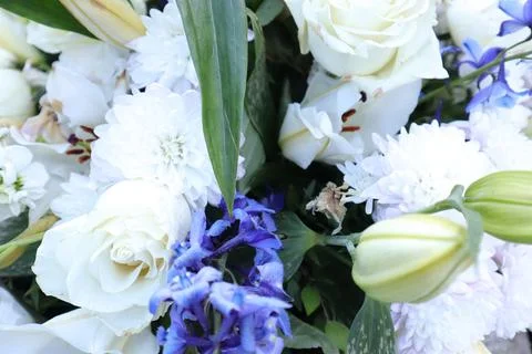 Beautiful Spring Flowers in a Garden Stock Photos