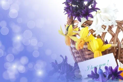Beautiful spring flowers Illustrazione stock