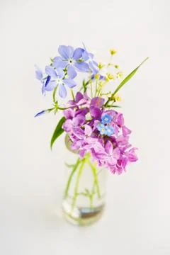 Beautiful spring flowers Stock Photos