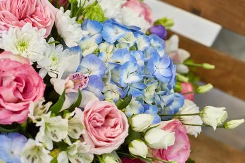 Beautiful spring flowers in soft pink and light blue colours. Stock Photos