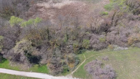 Beautiful Spring Forest Captured From Above With Smooth Drone Camera Movement Stock Footage 332938791