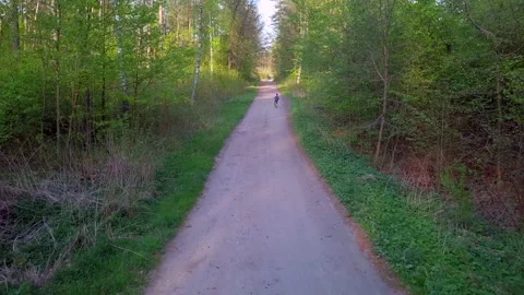 Beautiful spring forest with child riding on bike on sandy road. Drone footage. 스톡 동영상 154186590