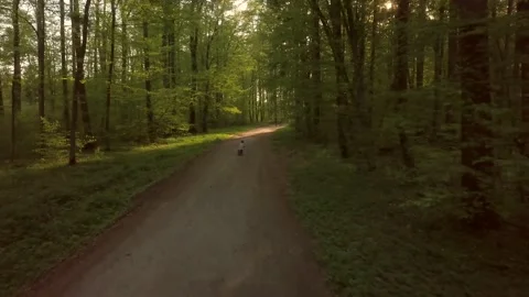 Beautiful spring forest with child riding on bike on sandy road. Drone footage. 库存影片 154271168