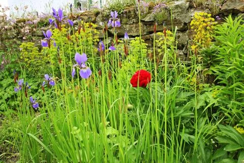 Beautiful spring garden Stock Photos