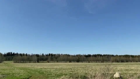A beautiful spring green field is a forest and a blue sky, and an illegal dump  Stock Footage 130792905