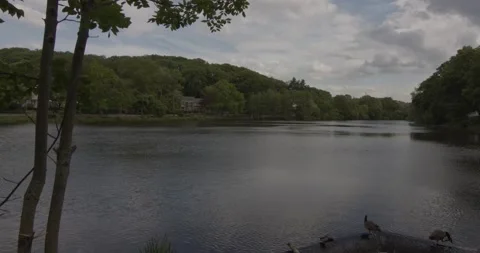 Beautiful Spring Lake Video stock 154756692