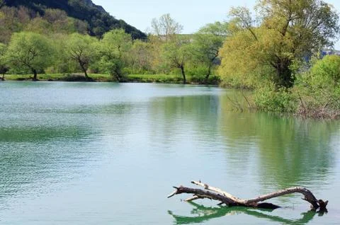 Beautiful  spring lake Stock Photos