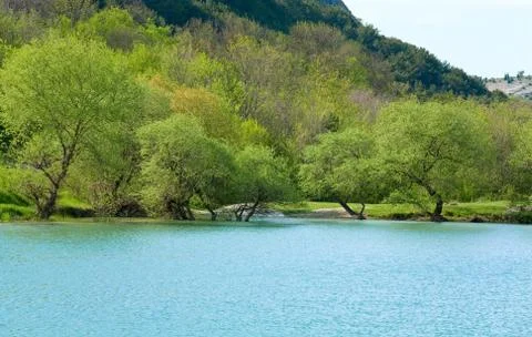 Beautiful  spring lake Stock Photos