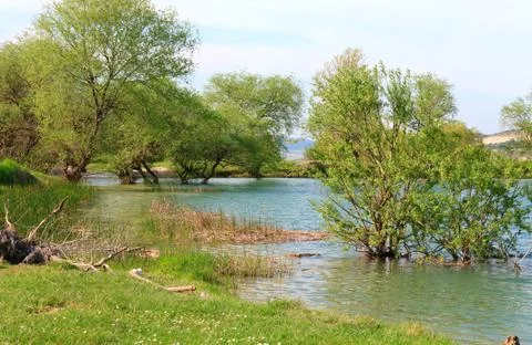Beautiful  spring lake Stock Photos
