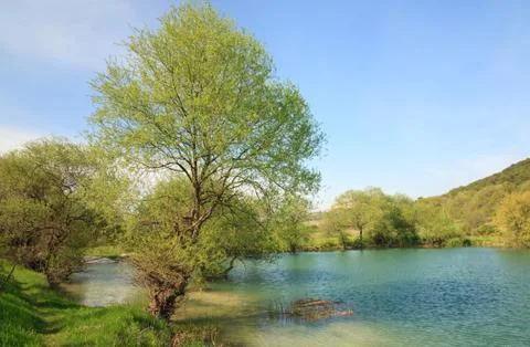 Beautiful  spring lake Stock Photos