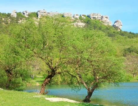 Beautiful  spring lake Stock Photos