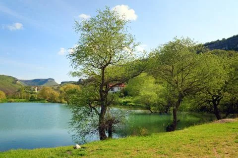 Beautiful  spring lake Foto stock