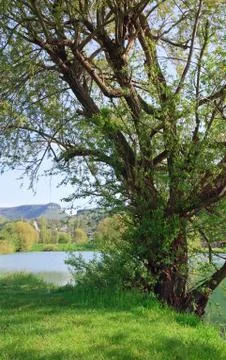 Beautiful  spring lake Stock Photos
