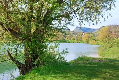 Beautiful  spring lake Stock Photos